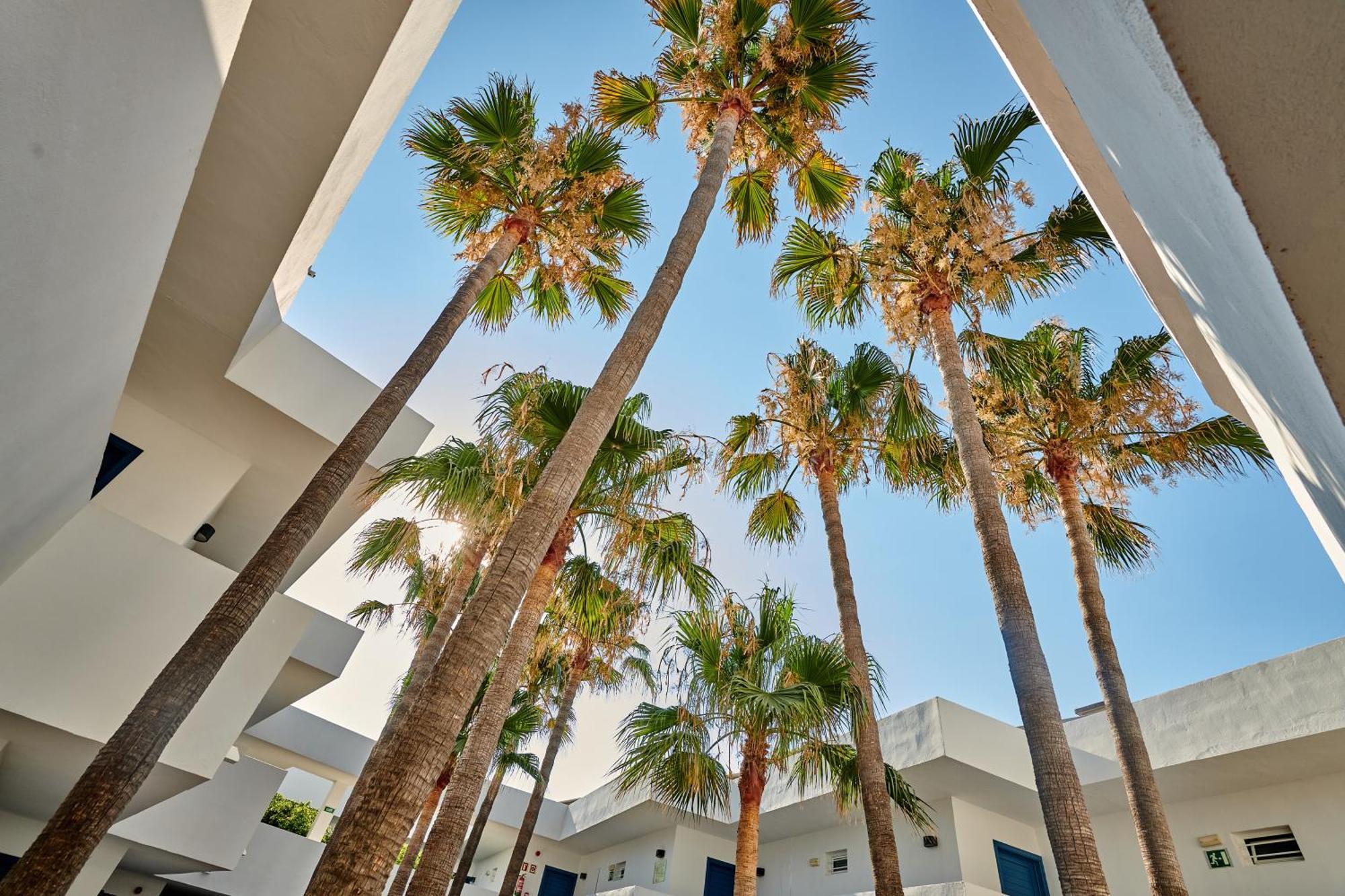 Hipotels Apartamentos Cala Bona Cala Bona  Exterior photo